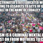 Women's march  | INDOCTRINATED STATE EDUCATED WOMEN FROM VOTING TO ASSAULTS TO ACTS OF GENOCIDES. ALL IN THE NAME OF EQUALITY; STATISM IS A CRIMINAL MENTAL ABUSE ISSUE PAST ON FROM MOTHERS TO CHILDREN | image tagged in women's march | made w/ Imgflip meme maker