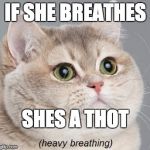 Heavy Breathing Cat | IF SHE BREATHES; SHES A THOT | image tagged in heavy breathing cat | made w/ Imgflip meme maker