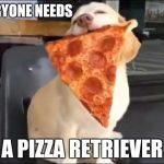PIZZA SPIRIT ANIMAL | EVERYONE NEEDS; A PIZZA RETRIEVER | image tagged in pizza spirit animal | made w/ Imgflip meme maker