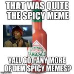 Spicy Meme | THAT WAS QUITE THE SPICY MEME YALL GOT ANY MORE OF DEM SPICY MEMES? | image tagged in spicy meme | made w/ Imgflip meme maker