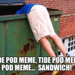 Dumpster Diving  | TIDE POD MEME, TIDE POD MEME, TIDE POD MEME...  SANDWICH!  YES!! | image tagged in dumpster dive,tide pod,getting old | made w/ Imgflip meme maker