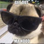 pug life | GET OUT; MA HOOD | image tagged in pug life | made w/ Imgflip meme maker
