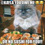 No Sushi For You! | @KAYLA YOU OWE ME 😂😂; OR NO SUSHI FOR YOU!! | image tagged in no sushi for you | made w/ Imgflip meme maker
