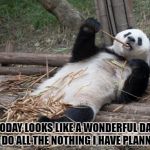 Lazy panda  | TODAY LOOKS LIKE A WONDERFUL DAY TO DO ALL THE NOTHING I HAVE PLANNED. | image tagged in lazy,funny,funny memes,memes,work | made w/ Imgflip meme maker