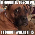 Oh crap dog | HID FAVORITE TOY SO WELL; I FORGOT WHERE IT IS | image tagged in oh crap dog | made w/ Imgflip meme maker