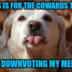 It's not like this is the first time this has ever happened to me...but I'm honored that you're butthurt over little ole me!!!  | THIS IS FOR THE COWARDS THAT; ARE DOWNVOTING MY MEMES | image tagged in dog sticking tongue out,memes,dogs,funny,animals,trolls | made w/ Imgflip meme maker