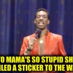 Yo Momma | YO MAMA'S SO STUPID SHE NAILED A STICKER TO THE WALL. | image tagged in stupid | made w/ Imgflip meme maker