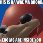 Do you know the way | THIS IS DA WAE MA BRODDA; EBOLAS ARE INSIDE YOU | image tagged in do you know the way | made w/ Imgflip meme maker