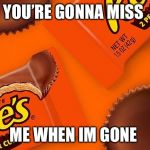 Reese's Cup | YOU’RE GONNA MISS; ME WHEN IM GONE | image tagged in reese's cup | made w/ Imgflip meme maker