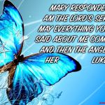 blue butterfly | MARY RESPONDED, "I AM THE LORD'S SERVANT. MAY EVERYTHING YOU HAVE SAID ABOUT ME COME TRUE." AND THEN THE ANGEL LEFT HER
              LUKE 1:38 | image tagged in blue butterfly | made w/ Imgflip meme maker