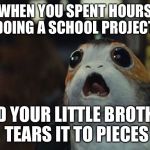Star Wars Porg | WHEN YOU SPENT HOURS DOING A SCHOOL PROJECT; AND YOUR LITTLE BROTHER TEARS IT TO PIECES | image tagged in star wars porg | made w/ Imgflip meme maker