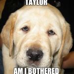 Do I Look Bothered | TAYLOR; AM I BOTHERED | image tagged in do i look bothered | made w/ Imgflip meme maker
