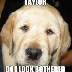 Do I Look Bothered | TAYLOR; DO I LOOK BOTHERED | image tagged in do i look bothered | made w/ Imgflip meme maker