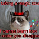 Alternate version. | I'm taking a magic course I wanna learn how to make you disappear I'm taking a magic course I wanna learn how to make you disappear | image tagged in memes,grumpy cat bed,grumpy cat,grumpy cat insults,agrumpycatdabra,a magician never reveals his tricks | made w/ Imgflip meme maker