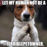 #TerriblePetOwner | DEAR LORD, PLEASE LET MY HUMAN NOT BE A #TERRIBLEPETOWNER. AMEN | image tagged in pet prayer | made w/ Imgflip meme maker
