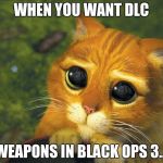 when you want DLC weapons in call of duty
 | WHEN YOU WANT DLC; WEAPONS IN BLACK OPS 3... | image tagged in pretty please cat | made w/ Imgflip meme maker