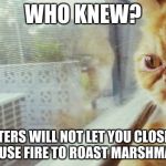 who knew  | WHO KNEW? FIREFIGHTERS WILL NOT LET YOU CLOSE ENOUGH TO A HOUSE FIRE TO ROAST MARSHMALLOWS. | image tagged in who knew | made w/ Imgflip meme maker