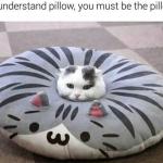 Pillow Cat