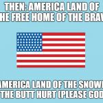 American Flag with Border | THEN:
AMERICA LAND OF THE FREE HOME OF THE BRAVE; NOW: AMERICA LAND OF THE SNOWFLAKES HOME OF THE BUTT HURT (PLEASE GOD HELP US) | image tagged in american flag with border | made w/ Imgflip meme maker