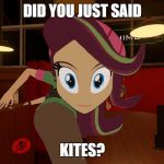 kites | DID YOU JUST SAID; KITES? | image tagged in kites | made w/ Imgflip meme maker