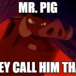 Uh oh. They called him a pig. | MR. PIG; THEY CALL HIM THAT! | image tagged in pumba | made w/ Imgflip meme maker