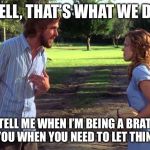 the notebook | WELL, THAT’S WHAT WE DO! YOU TELL ME WHEN I’M BEING A BRAT AND I TELL YOU WHEN YOU NEED TO LET THINGS GO! | image tagged in the notebook | made w/ Imgflip meme maker