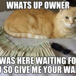 Thug life | WHATS UP OWNER; I WAS HERE WAITING FOR YOU SO GIVE ME YOUR WALLET | image tagged in thug life | made w/ Imgflip meme maker