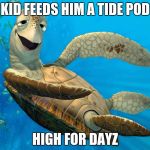 turtle on drugs | KID FEEDS HIM A TIDE POD; HIGH FOR DAYZ | image tagged in turtle on drugs | made w/ Imgflip meme maker