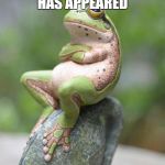 Smug Frog | NARUTOS OTHER SUMMON HAS APPEARED; GAMUSMUGTA | image tagged in smug frog | made w/ Imgflip meme maker