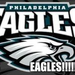 Eagles Win | E-A-G-L-E-S               EAGLES!!!!!!!!!!!!!!!!!! | image tagged in eagles win | made w/ Imgflip meme maker