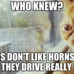 who knew  | WHO KNEW? BIKERS DON'T LIKE HORNS, EVEN WHEN THEY DRIVE REALLY SLOW. | image tagged in who knew | made w/ Imgflip meme maker