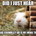 Lelz Guinea pig  | DID I JUST HEAR; A LETTUCE BAG CRUMBLE? OR IS MY MIND TRICKING ME? | image tagged in lelz guinea pig | made w/ Imgflip meme maker