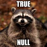 Evil Raccoon | TRUE; NULL | image tagged in evil raccoon | made w/ Imgflip meme maker