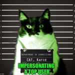 RayCat Incarcerated | IMPERSONATING A TOP USER | image tagged in raycat incarcerated | made w/ Imgflip meme maker