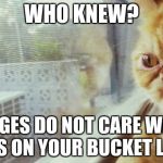 who knew  | WHO KNEW? JUDGES DO NOT CARE WHAT WAS ON YOUR BUCKET LIST. | image tagged in who knew | made w/ Imgflip meme maker