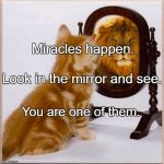 cat mirror lion | Miracles happen. Look in the mirror and see. You are one of them. | image tagged in cat mirror lion | made w/ Imgflip meme maker