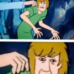 Shaggy | IT; WASN'T ME | image tagged in shaggy | made w/ Imgflip meme maker