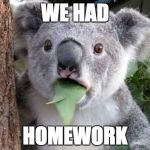 Stunned Koala | WE HAD; HOMEWORK | image tagged in stunned koala | made w/ Imgflip meme maker