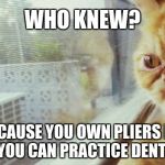 who knew  | WHO KNEW? JUST BECAUSE YOU OWN PLIERS DOESN'T MEAN YOU CAN PRACTICE DENTISTRY. | image tagged in who knew | made w/ Imgflip meme maker