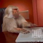 Office Monkey Computer Despair meme