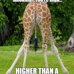 Giraffe  | What have you been smoking?
You're high... HIGHER THAN A GIRAFFE'S ASS! | image tagged in giraffe | made w/ Imgflip meme maker