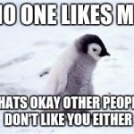 Penguin | NO ONE LIKES ME; THATS OKAY OTHER PEOPLE DON'T LIKE YOU EITHER | image tagged in penguin | made w/ Imgflip meme maker