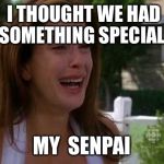 Desperate housewives meme | I THOUGHT WE HAD SOMETHING SPECIAL; MY  SENPAI | image tagged in desperate housewives meme | made w/ Imgflip meme maker