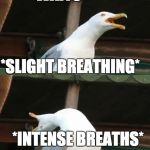 Breathing bird | EXO-L'S CALL                                                







*PATIENTLY WAITS*                                         
                 *SLIGHT BREATHING*                   
                

                        *INTENSE BREATHS*; CHOGI WAAAAAA | image tagged in breathing bird | made w/ Imgflip meme maker
