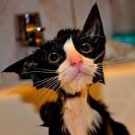 Moist Pussy