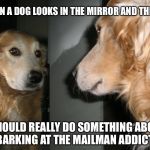 mirror dog | WHEN A DOG LOOKS IN THE MIRROR AND THINKS; I SHOULD REALLY DO SOMETHING ABOUT MY BARKING AT THE MAILMAN ADDICTION | image tagged in mirror dog | made w/ Imgflip meme maker