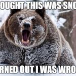 Cocaine bear | THOUGHT THIS WAS SNOW; TURNED OUT I WAS WRONG | image tagged in cocaine bear | made w/ Imgflip meme maker