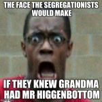 scared | THE FACE THE SEGREGATIONISTS WOULD MAKE; IF THEY KNEW GRANDMA HAD MR HIGGENBOTTOM | image tagged in scared | made w/ Imgflip meme maker