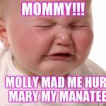 Crying baby is crying again | MOMMY!!! MOLLY MAD ME HURT 
    MARY MY MANATEE. | image tagged in crying baby is crying again | made w/ Imgflip meme maker