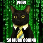 Business Cat Matrix | WOW; SO MUCH CODING | image tagged in business cat matrix | made w/ Imgflip meme maker